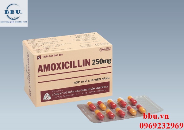 Thuốc kháng sinh điều trị nhiểm khuẩn đường hô hấp,đường mật,tiêu hóa,tiết niệu,sinh dục Amoxicillin 250mg