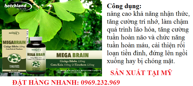 MegaBrain Ginkgo Biloba hoạt huyết dưỡng não, bổ máu