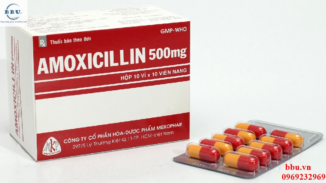 Thuốc kháng sinh điều trị hô hấp, đường mật, tiêu hóa, tiết niệu, sinh dục Amoxicillin 500mg
