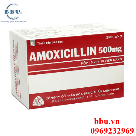 Thuốc kháng sinh điều trị hô hấp, đường mật, tiêu hóa, tiết niệu, sinh dục Amoxicillin 500mg