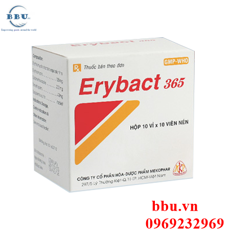 Thuốc kháng sinh điều trị viêm phế quản, viêm phổi, nhiểm khuẩn đường tiêu hóa Erybact 365 