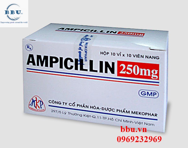 Thuốc khánh sinh điều trị viêm đường hô hấp, viêm xong,viêm phế quảng mãn tính Ampicillin 250mg