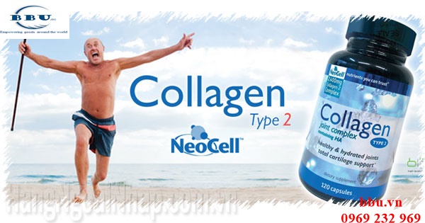 Công dụng của Collagen Type 2