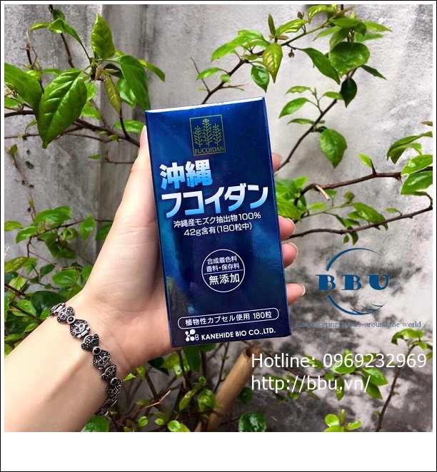 Công dụng tảo xanh Fucoidan Nhật Bản 