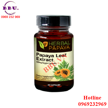 Phân Phối Sĩ thuốc Trị Ung Thư Papaya Leaf Extract