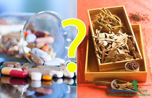 Bệnh thoái hóa khớp nên uống thuốc gì tốt nhất?