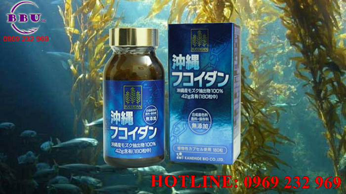 Phân phối sỉ Viên uống tảo Fucoidan Okinawa xanh uy tín 