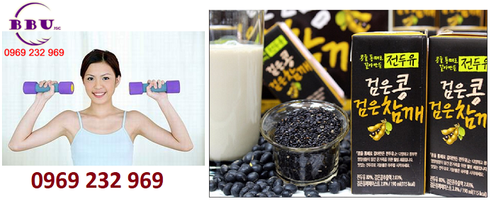 Bỏ sỉ Sữa đậu đen Hanmi Hàn Quốc thùng 16 hộp