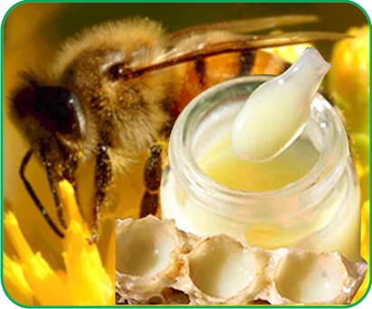 Sữa ong chúa – Những công dụng tuyệt vời trong làm đẹp