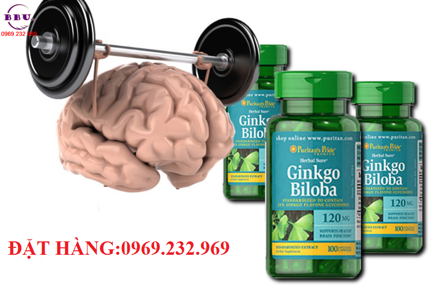 Thành phần của sản phẩm Thuốc hoạt huyết dưỡng não Ginkgo Biloba 120 mg 100 Capsules