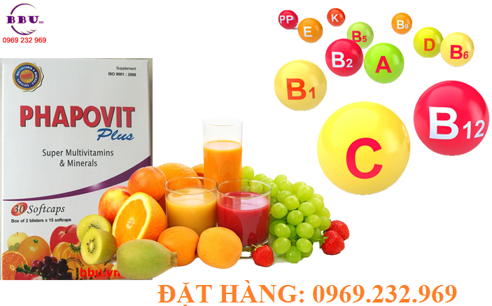 Thành phần Phapovit plus 30 viên bổ sung vitamin và khoáng chất