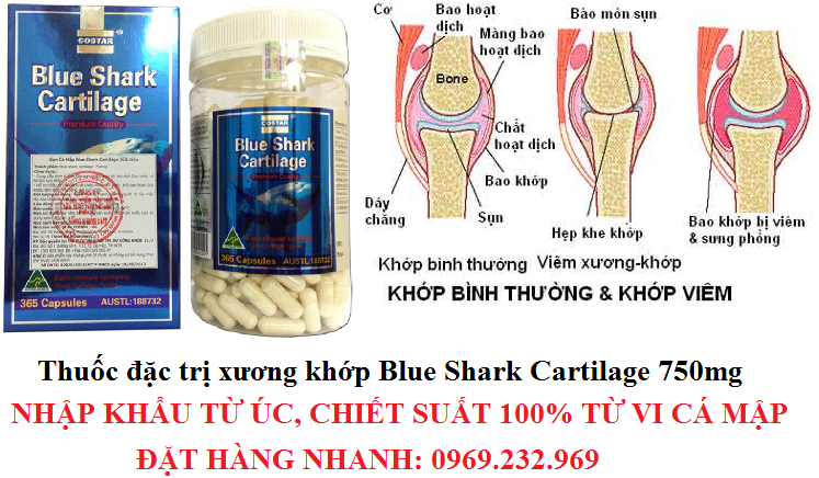 Thuốc đặc trị xương khớp Blue Shark Cartilage 750mg