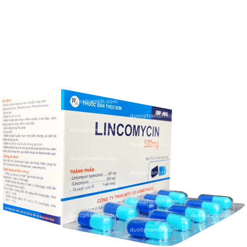 LINCOMYCIN 500
