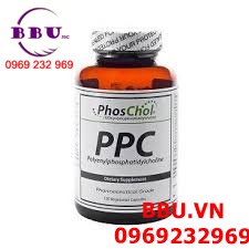 PhosChol PPC 600