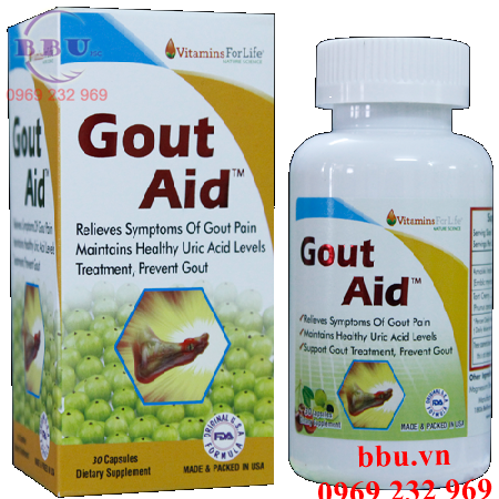 Thuốc hỗ trợ điều trị bệnh gút-gout aid