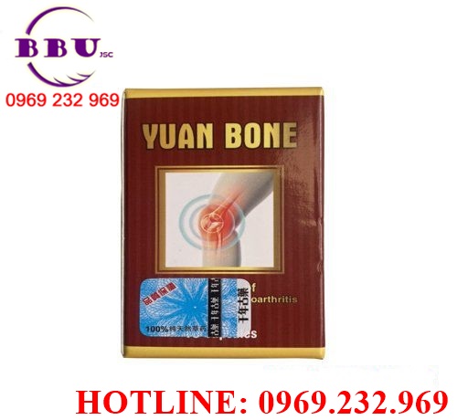 Yuan Bone