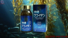 Viên uống tảo Fucoidan Okinawa chống ung thư