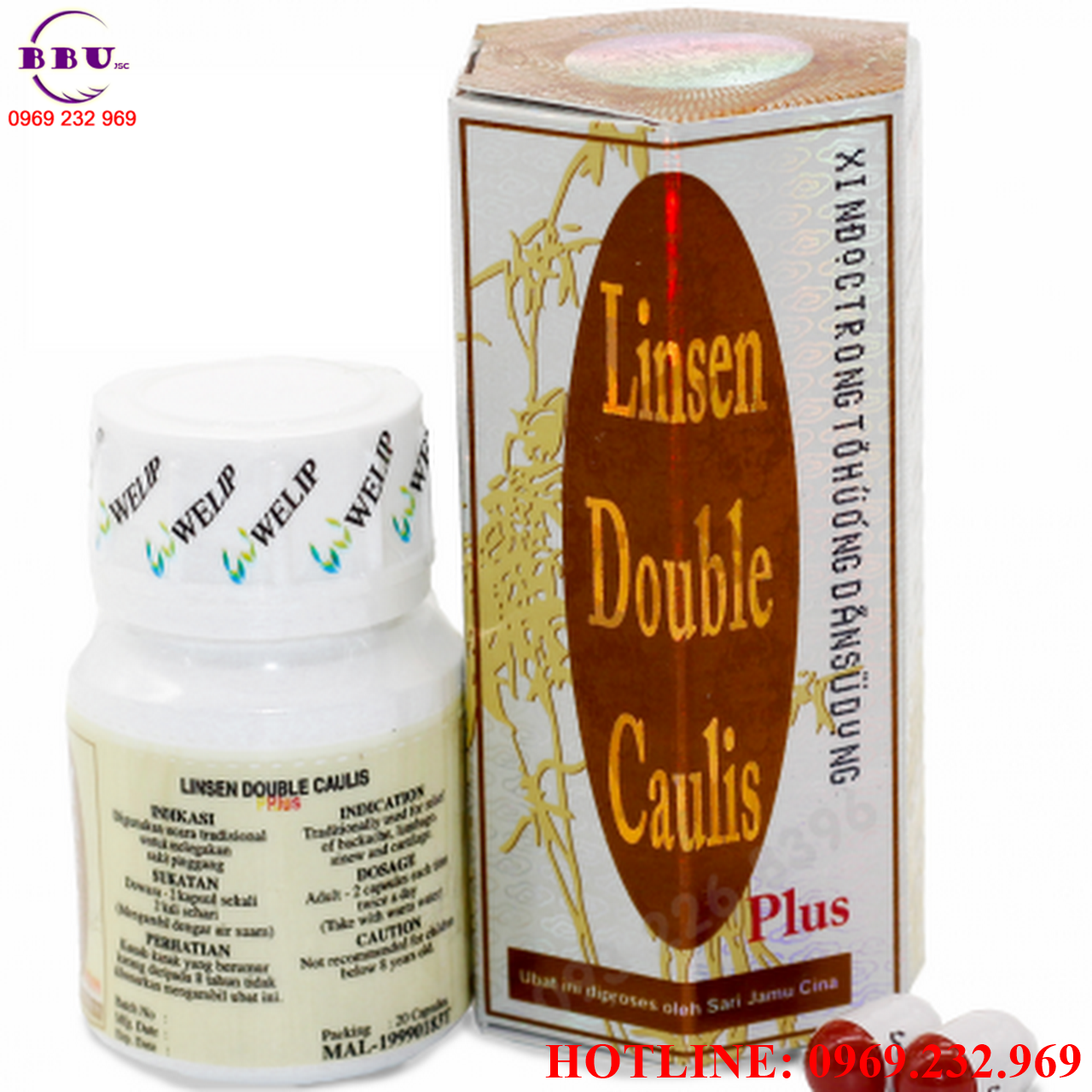 Linsen double caulis plus điều trị Gút ( Gout)