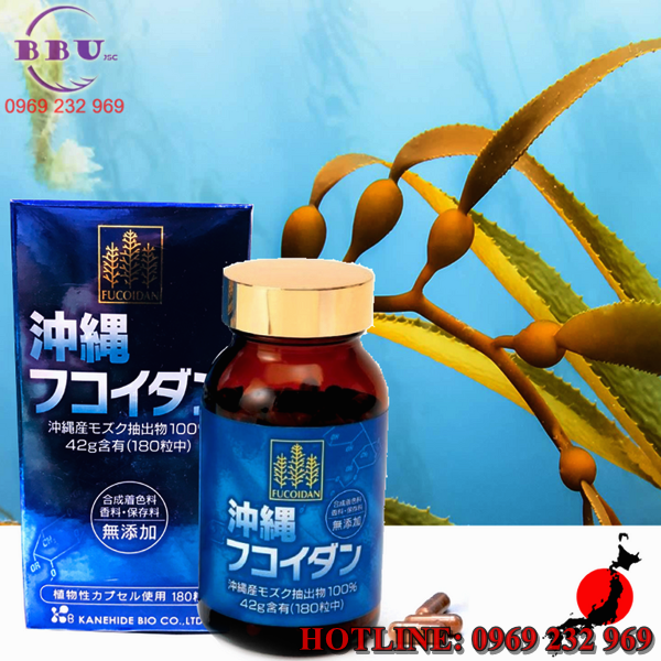 Viên uống tảo Fucoidan Okinawa xanh