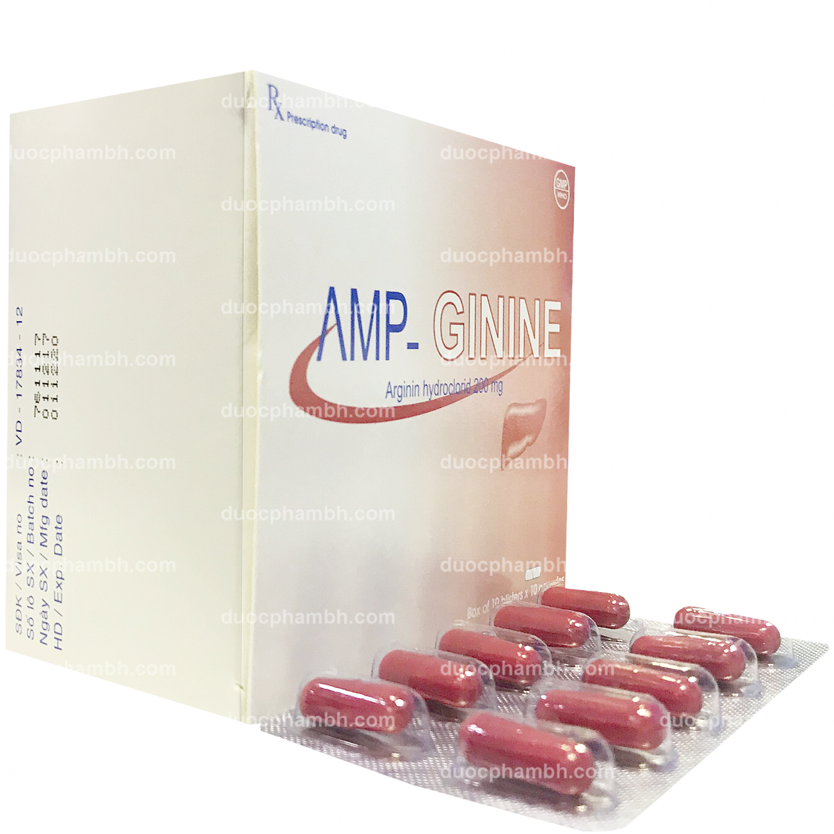 AMP-GININE