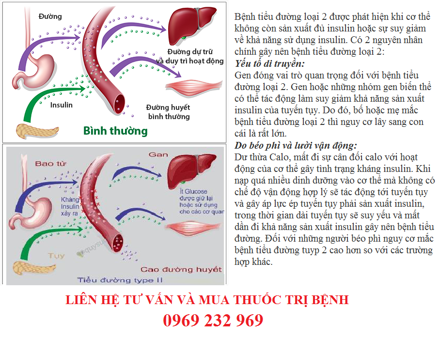 Cong-dung-cua-thuoc-Setava1