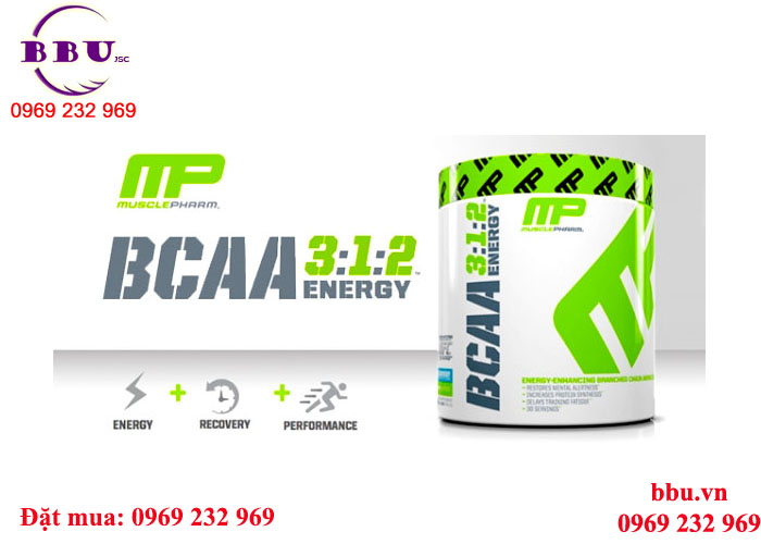 bot-tang-co-tang-suc-ben-bcaa-3-1-2-1