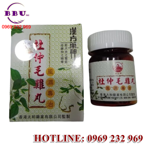 Đỗ Trọng Mao Kê Hoàn đang trở thành một cái tên được nhiều người tin dùng