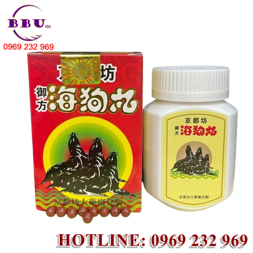 am Biên Hải Cẩu Hoàn Hongkong, với mong muốn hỗ trợ sức khỏe thận và cải thiện tình trạng suy nhược cơ thể