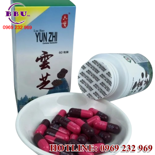 Lục Bảo Vân Chi được đóng gói trong hộp 60 viên, với hàm lượng 550mg mỗi viên