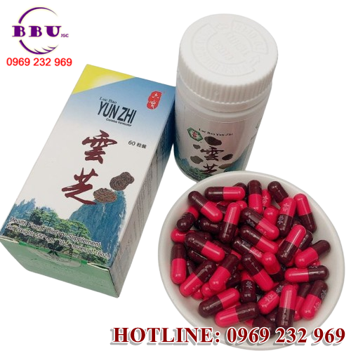 Lục Bảo Vân Chi mang đến nhiều công dụng tuyệt vời cho sức khỏe