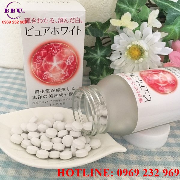 Phân phối sỉ Viên uống trắng da Shiseido Pure White 240 viên
