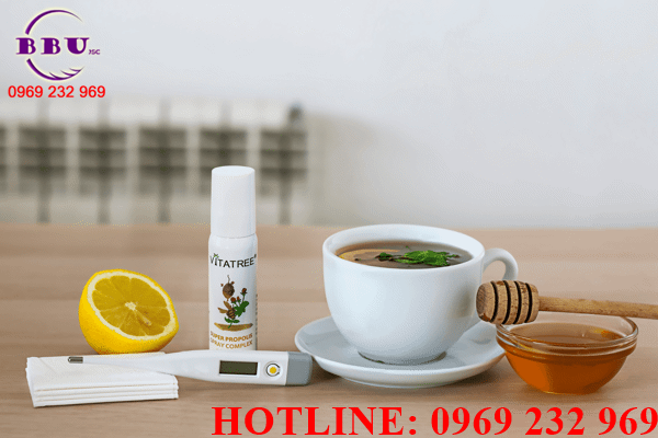 Phân phối sỉ Xịt Keo Ong Vitatree Phân phối sỉ Xịt Keo Ong Vitatree