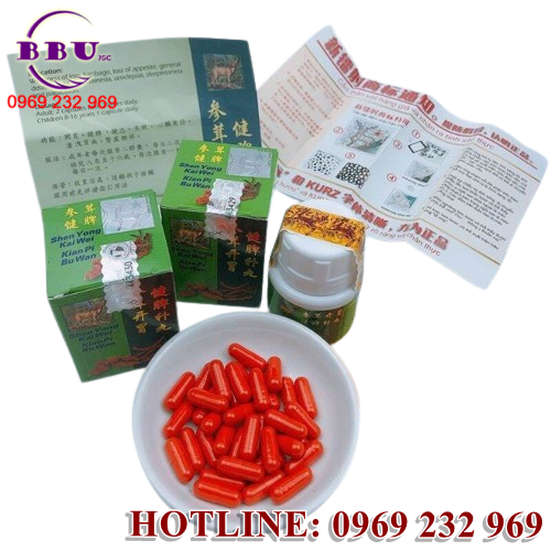 Sâm Nhung Khai Vị Kiện Tỳ Đại Bổ Hoàn không chỉ giúp bạn có một giấc ngủ ngon, mà còn hỗ trợ cơ thể sản sinh tế bào máu mới