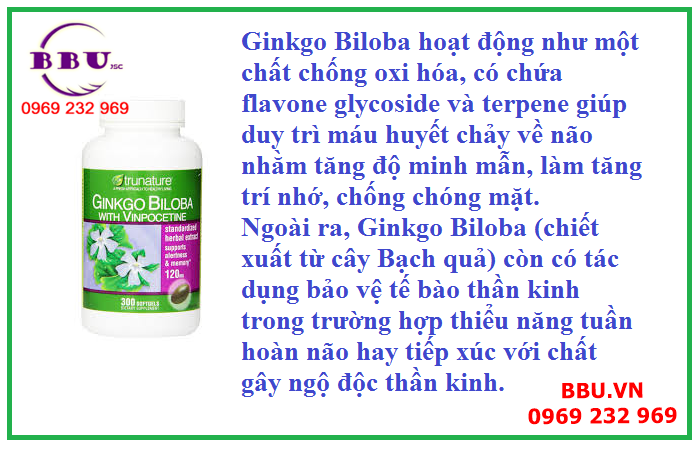 thuốc tăng cường tuần hoàn não