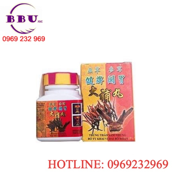TRÙNG THẢO SÂM NHUNG - BỔ TỲ KHAI VỊ ĐẠI BỔ HOÀN TRÙNG THẢO SÂM NHUNG - BỔ TỲ KHAI VỊ ĐẠI BỔ HOÀN
