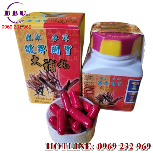 Trùng Thảo Sâm Nhung là lựa chọn lý tưởng cho những ai mong muốn tăng cường sức khỏe, đặc biệt là người già, người suy dinh dưỡng, hay người vừa trải qua bệnh tật