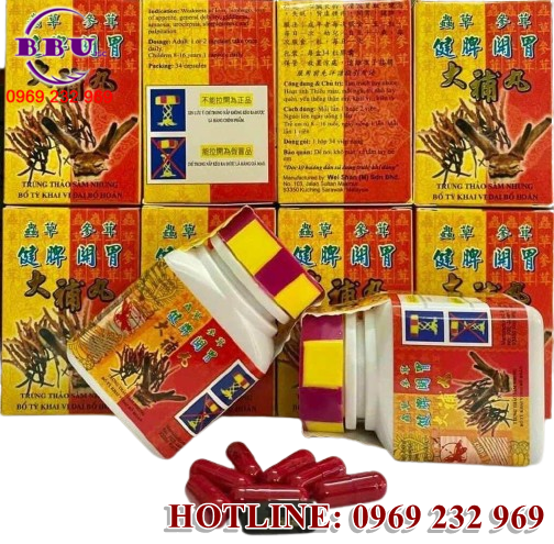 Trùng Thảo Sâm Nhung Bổ Tỳ Khai Vị là một giải pháp toàn diện cho nhiều vấn đề về sức khỏe