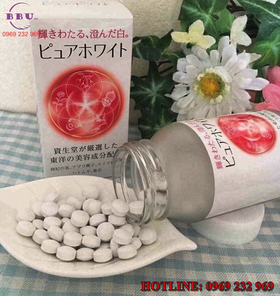 Hướng dẫn sử dụng