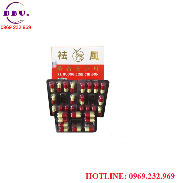 xa-huong-linh-chi-don-ho-tro-dieu-tri-benh-xuong-khop-3.png (700×700)