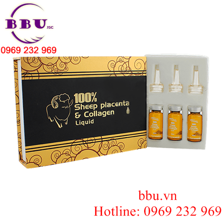 Tế bào gốc nhau thai cừu kết hợp collagen loại 100% naro của úc
