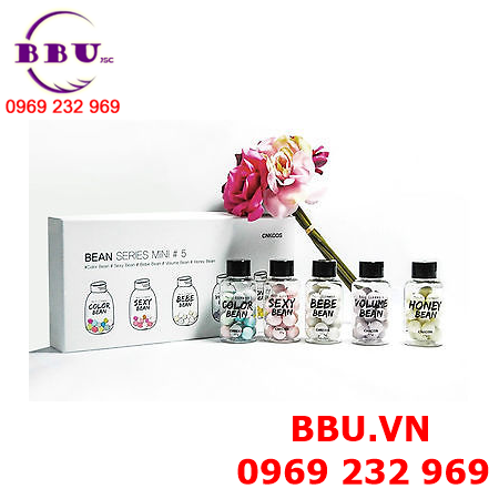 Bộ kit mini 5 chai mini bean series của cnkcos