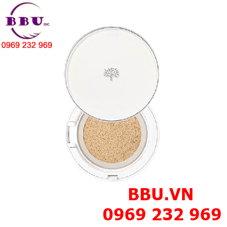 Phấn nước kiềm dầu the face shop oil control water cushion