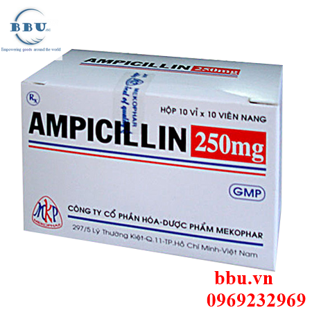 Thuốc khánh sinh điều trị viêm đường hô hấp, viêm xong,viêm phế quảng mãn tính ampicillin 250mg