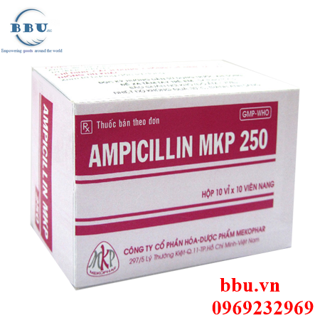 Thuốc khánh sinh điều trị viêm đường hô hấp, viêm xong, viêm phế quảng mãn tính ampicillin mkp 250