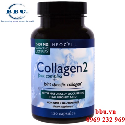 Công dụng của collagen type 2
