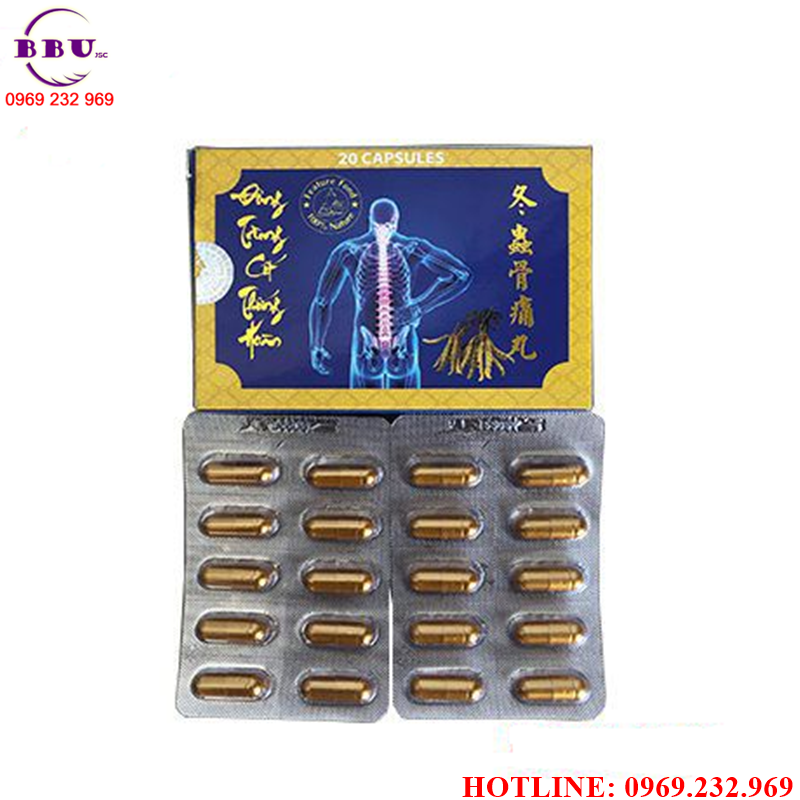 đông trùng cốt thống hoàn điều trị xương khớp