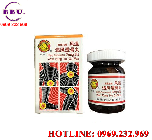 Feng shi zhui feng tou gu wan - phong thấp truy phong thấu cốt hoàn
