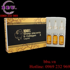 Tế bào gốc nhau thai cừu kết hợp collagen loại 100% naro của úc Tế bào gốc nhau thai cừu kết hợp collagen loại 100% naro của úc