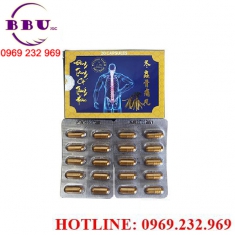 đông trùng cốt thống hoàn điều trị xương khớp    đông trùng cốt thống hoàn điều trị xương khớp