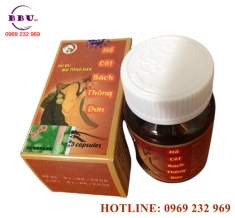 Hổ cốt bách thống đơn - xương khớp khỏe mạnh [mới nhất]